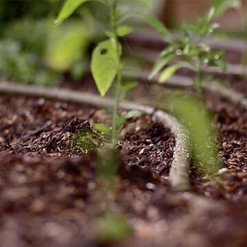 Water Right 700 Series Soaker Hose - Safe & Flexible 25ft