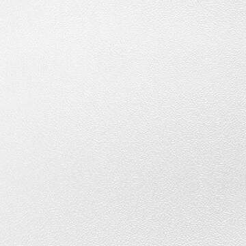 DHP Metal Carriage Bed Frame for Kids, Fairy Tale Design with Headboard and Canopy, Underbed Storage Space for Toys, Twin, White