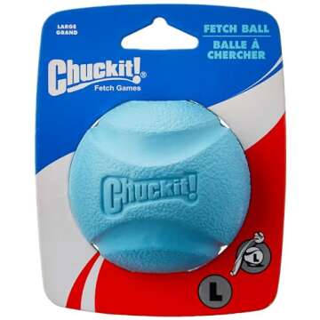 Chuckit! High-Bounce Fetch Ball for Large Dogs