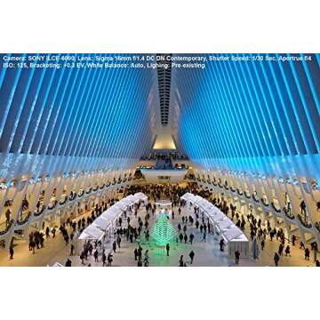 Sigma 16mm f/1.4 Lens Bundle for Sony E-Mount Cameras