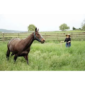 Knotty Girlz 22' Long Line with O Ring & Carabiner