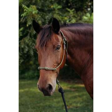 Knotty Girlz 22' Long Line with O Ring & Carabiner