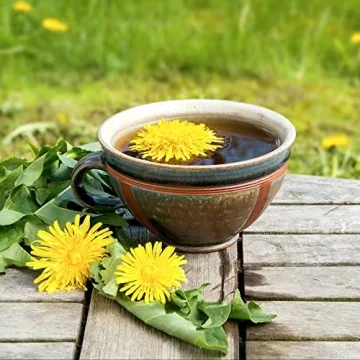 Organic Dandelion Root for Health & Culinary Creativity