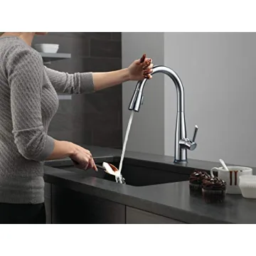 Delta Essa Touch Kitchen Faucet - Innovative Touch Control