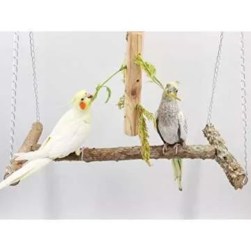 Large Bird Perch Swing Toy, Natural Pepper Wood Parrot Perch Stand Toy, Hangable Birdcage Accessories with Stainless Steel, Bird Chewing Toy for Parrot Parakeet Budgies Lovebirds(18×10 Inches(L×W))