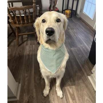 Lionet Paws Dog Bandana for Small Medium Large Dogs, Cat Dogs Kerchief Triangle Bibs Scarf for Girl or Boy