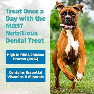 Yummy Combs Dog Dental Treats - Vet Approved Oral Care