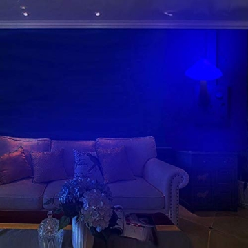 AUSAYE Mushroom Night Lights - 7 Color Plug-in Delight