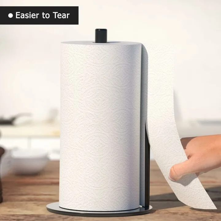 Stylish Black Stainless Steel Paper Towel Holder