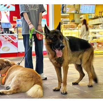 Mycicy Heavy Duty Dog Leash for Large Dogs - Reflective & Strong