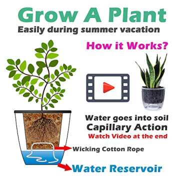 DELF 6 Pack 6.7" Self-Watering Planters Flower Pots for Indoor Garden Devil's Ivy, African Violet, Ocean Spider Plant, Orchid, White Color