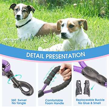 BAAPET 2/4/5/6 FT Dog Leash with Comfortable Padded Handle and Highly Reflective Threads for Small Medium and Large Dogs (5FT-1/2'', Purple)