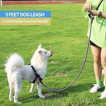BAAPET 2/4/5/6 FT Dog Leash with Comfortable Padded Handle and Highly Reflective Threads for Small Medium and Large Dogs (5FT-1/2'', Purple)