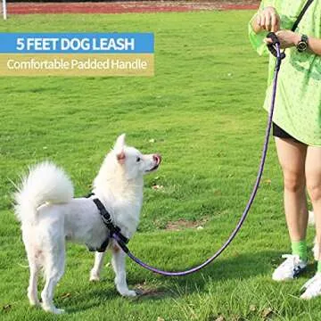 BAAPET 2/4/5/6 FT Dog Leash with Comfortable Padded Handle and Highly Reflective Threads for Small Medium and Large Dogs (5FT-1/2'', Purple)