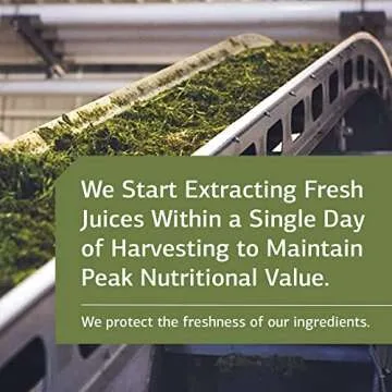 Standard Process Cholacol - Gallbladder Support Supplement - Fat Digestion Supplement for Digestive Health & Bile Support - Gluten-Free, Non-Dairy & Non-Soy - 90 Tablets