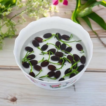 Mixed Pink Red Green Lotus Seeds for Planting