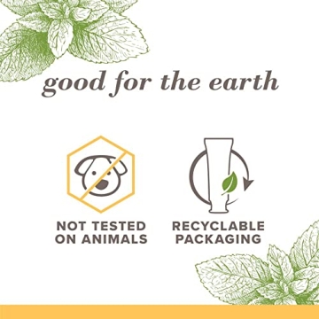 Burt's Bees Fluoride-Free Toothpaste - Zen Peppermint, 3-Pack