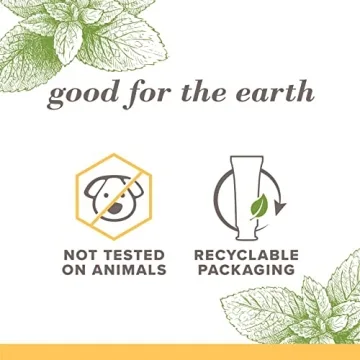 Burt's Bees Fluoride-Free Toothpaste - Zen Peppermint, 3-Pack