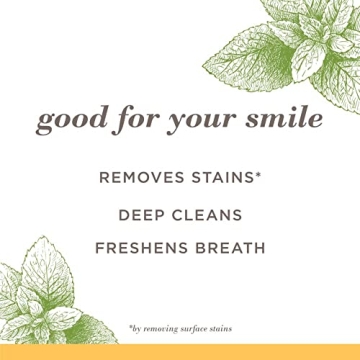 Burt's Bees Fluoride-Free Toothpaste - Zen Peppermint, 3-Pack