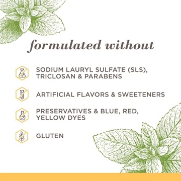 Burt's Bees Fluoride-Free Toothpaste - Zen Peppermint, 3-Pack