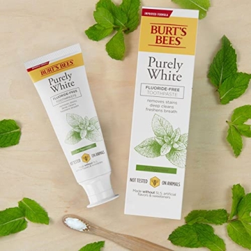 Burt's Bees Fluoride-Free Toothpaste - Zen Peppermint, 3-Pack