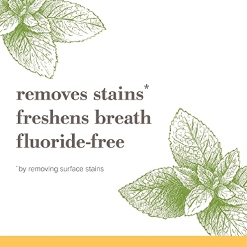 Burt's Bees Fluoride-Free Toothpaste - Zen Peppermint, 3-Pack