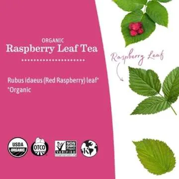 Earth Mama Organic Raspberry Leaf Tea Bags | Labor Tonic & Menstrual Support Herbal Tea, Red Raspberry Leaf Tea for Pregnancy & Postpartum Care Recovery, Caffeine Free Tea, Non GMO, (16 Teabags, 3-Pk)