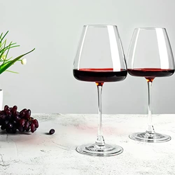 Elegant Red Wine Glasses Set of 6 for Tastings and Home