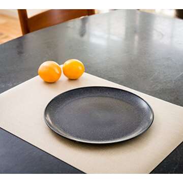EVO Sustainable Goods 10" Plate, Set of Four, Black