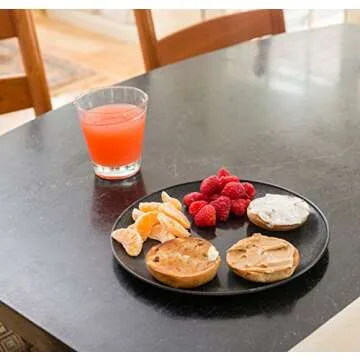 EVO Sustainable Goods 10" Plate, Set of Four, Black