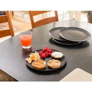 EVO Sustainable Goods 10" Plate, Set of Four, Black