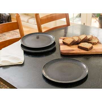 EVO Sustainable Goods 10" Plate, Set of Four, Black