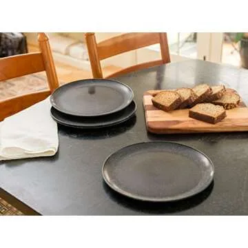 EVO Sustainable Goods 10" Plate, Set of Four, Black