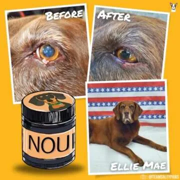 Hemp Dog Health - Nourish - Hemp Salve - Dog Paw & Nose Balm - Moisturizer for Allergies & Inflammation - Dryness Relief & Natural Paw Soother to Protect Your Dog’s Skin
