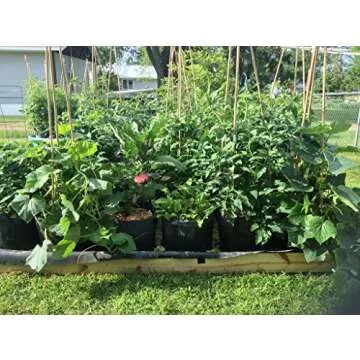 Root Pouch Maui Mike's Soft Pot (15 Gallon) Thicker Grow Bags/Fabric Planters from Maui Mike's.Made from Recycled Water Bottles. Industrial Sewn Strong Handles. Last for Years.