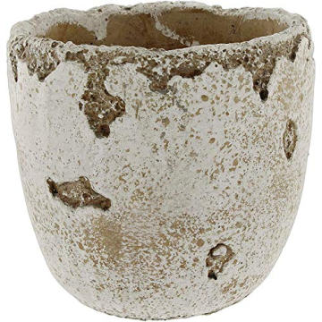 Lucky Winner Distressed Cement Planter for Home Garden Decor