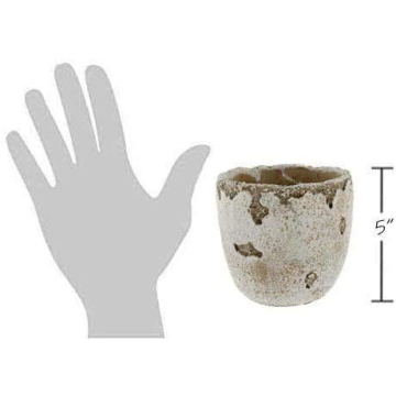 Lucky Winner Distressed Cement Planter for Home Garden Decor