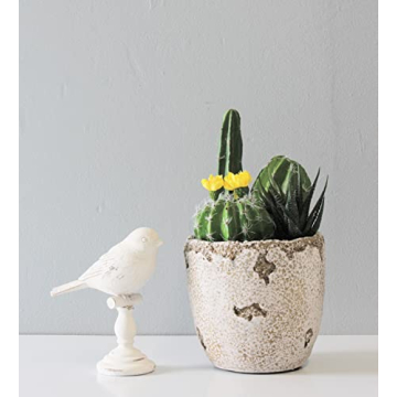 Lucky Winner Distressed Cement Planter for Home Garden Decor