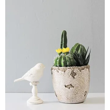 Lucky Winner Distressed Cement Planter for Home Garden Decor