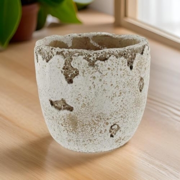 Lucky Winner Distressed Cement Planter for Home Garden Decor