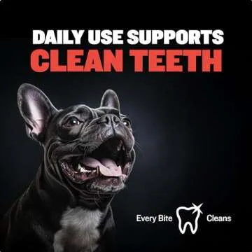 Bully Max Indestructible Chew Toy for Big Dogs