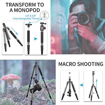 10 Layers Carbon Fiber Travel Tripod Monopod-INNOREL RT55C with 36mm Panoramic Ball Head 360 Degree and Carrying Case Professional Lightweight Compact Tripods for Digital Camera Camcorder DSLR