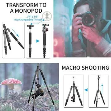 10 Layers Carbon Fiber Travel Tripod Monopod-INNOREL RT55C with 36mm Panoramic Ball Head 360 Degree and Carrying Case Professional Lightweight Compact Tripods for Digital Camera Camcorder DSLR
