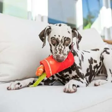 P.L.A.Y. Cute Plush Dog Toy - Eco-Friendly Fun for All Breeds