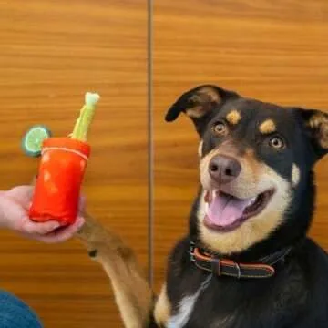 P.L.A.Y. Cute Plush Dog Toy - Eco-Friendly Fun for All Breeds