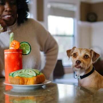 P.L.A.Y. Cute Plush Dog Toy - Eco-Friendly Fun for All Breeds