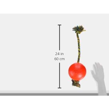 Jolly Pets Romp-n-Roll Dog Toy, Orange, 6", Model Number: 788169060645