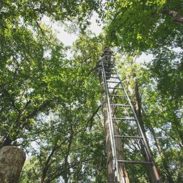 Hawk 21' Sasquatch 1.5-Man Ladder Stand | Durable Hunting Archery Steel 1 Person Tree Stand with Flip Up Chair, Hercules Cross Grip Safety System & Noise Free Ladder