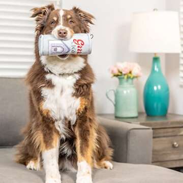 Huxley & Kent for Dogs | Grrrs Light (Small) | Funny Dog Toy | Power Plush Dog Toy with Squeaker | Dog Gift | Fun, Durable, and Safe | H&K Squeaky Dog Toy