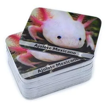 Menique, Juego de Memoria de Animales Salvajes en español. Wild Animals Memory Matching Game in Spanish.